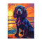 Cavalier King Charles Spaniel Sunset / Sunrise