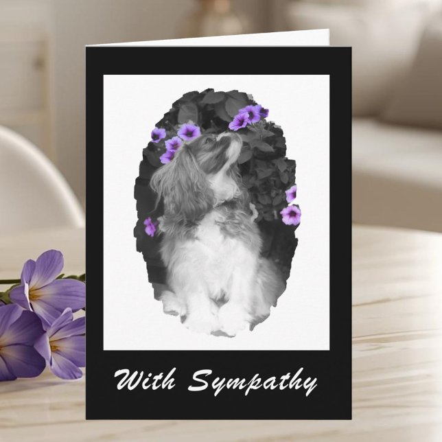 Cavalier King Charles Spaniel Sympathy Card (Creator Uploaded)