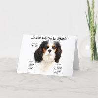 Cavalier King Charles Spaniel (tricolor) History