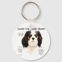 Cavalier King Charles Spaniel (tricolor) History