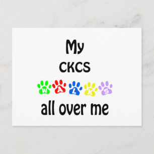 Cavalier King Charles Spaniel Walks Design Postcard