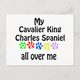 Cavalier King Charles Spaniel Walks Design Postcard