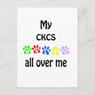 Cavalier King Charles Spaniel Walks Design Postcard