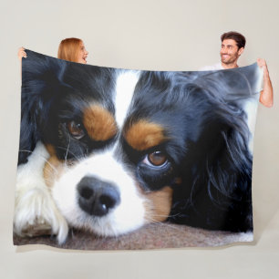 CAVALIER KING CHARLES SPANIELS FLEECE BLANKET