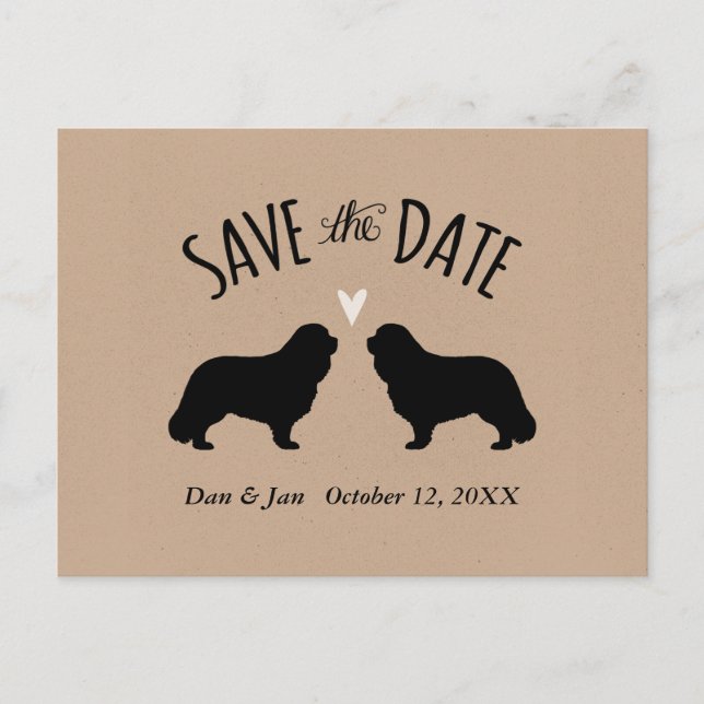 Cavalier King Charles Wedding Save the Date Announcement Postcard (Front)