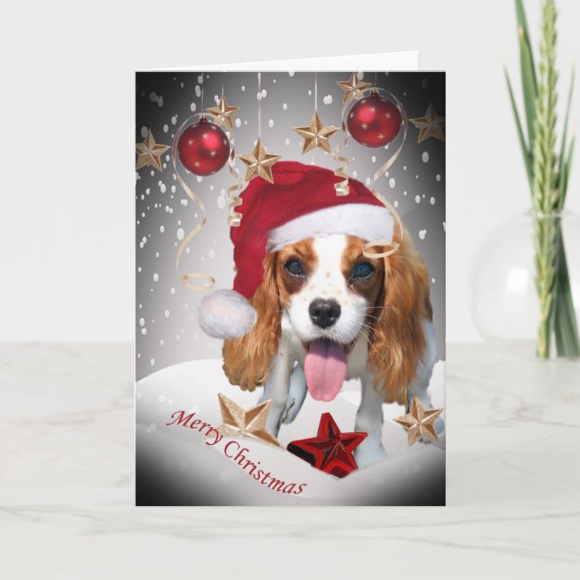 Cavalier King Charles Winter Christmas Cards (Front)