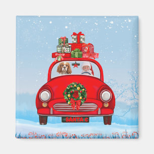 Cavalier King Dog In Car With Santa Claus Magnet