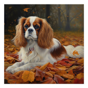 Cavalier King  in Autumn Leaves Fall Inspire  Poster
