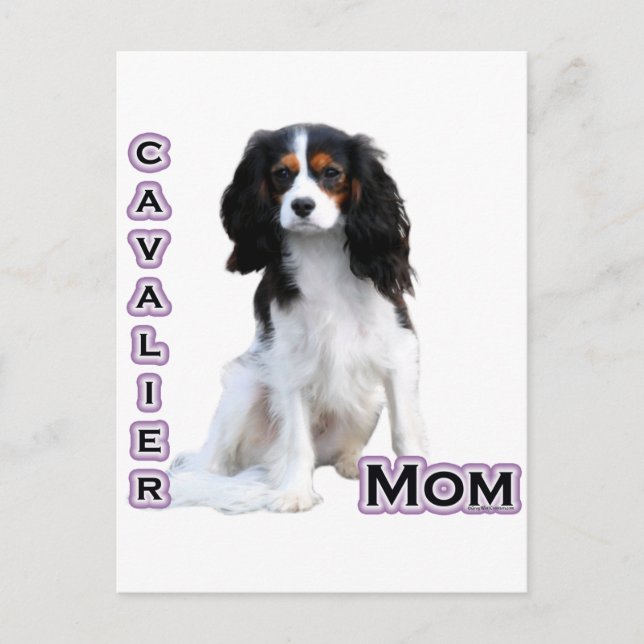 Cavalier Mum 4 Postcard (Front)