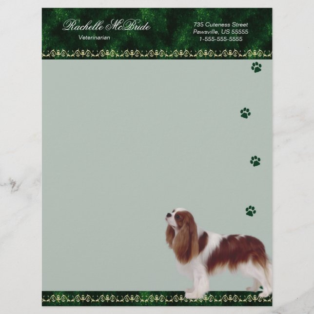 Cavalier Pawprint Veterinarian Letterhead green (Front)