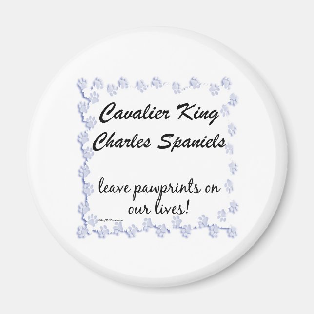 Cavalier Pawprints - Magnet (Front)