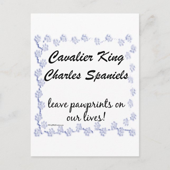 Cavalier Pawprints Postcard (Front)