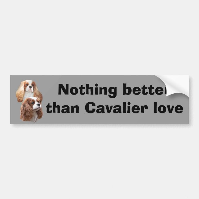 Cavalier Pretty Girls Bumper Sticker (Front)