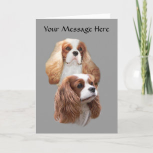 Cavalier Pretty Girls Greeting Card