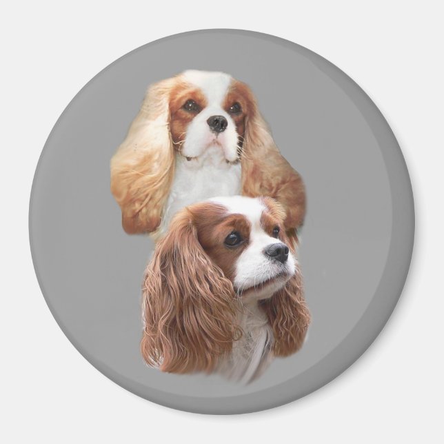 Cavalier Pretty Girls Magnet (Front)