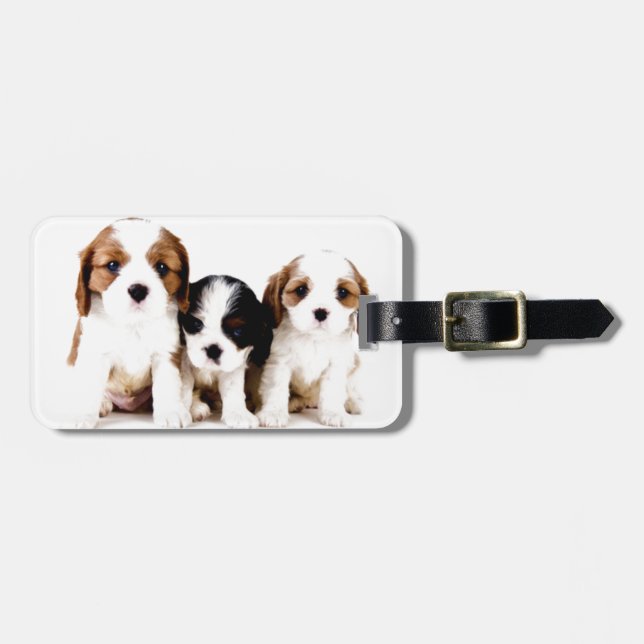 Cavalier Puppies Luggage Tag (Front Horizontal)