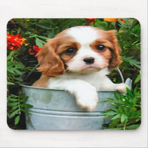 Cavalier Puppy Mousepad