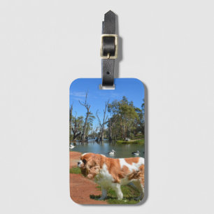 Cavalier Spaniel And Pelicans, Luggage Tag