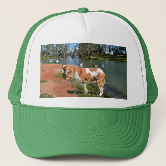 Cavalier Spaniel And Pelicans,  Trucker Hat (Front)