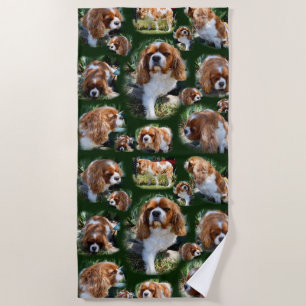 Cavalier Spaniel Collarge, Beach Towel