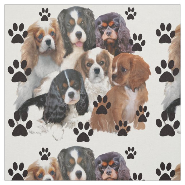 Cavalier Spaniel Fabric (Swatch)