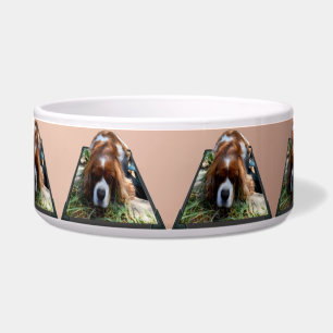 Cavalier Spaniel Popout Art,