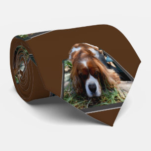 Cavalier Spaniel Popout Art, Neck Tie