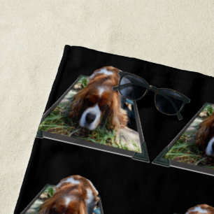 Cavalier Spaniel Popout, Beach Towel
