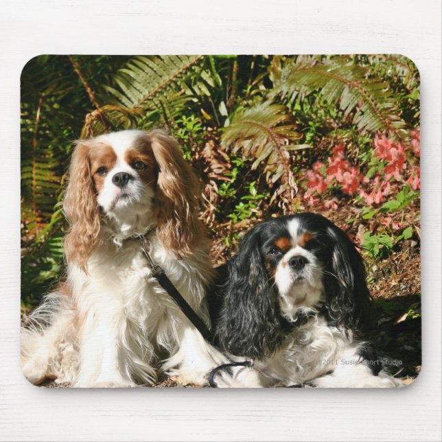 Cavalier Spaniels Mousepad (Front)