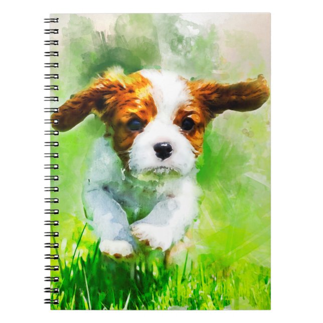 Cavalier watercolor 1 notebook (Front)