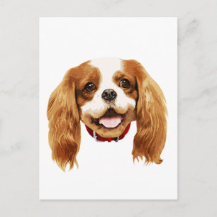 CavalierKingCharlesSpaniel_Epagneul face002 Postcard