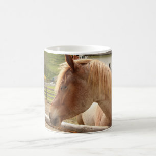 Cavallo dalla criniera dorata - tazza fotografica coffee mug
