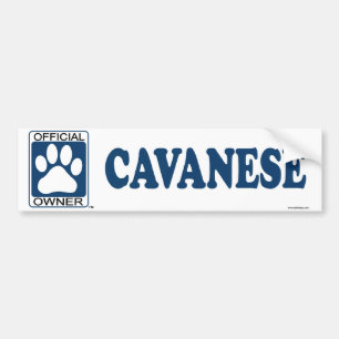 Cavanese Blue Bumper Sticker