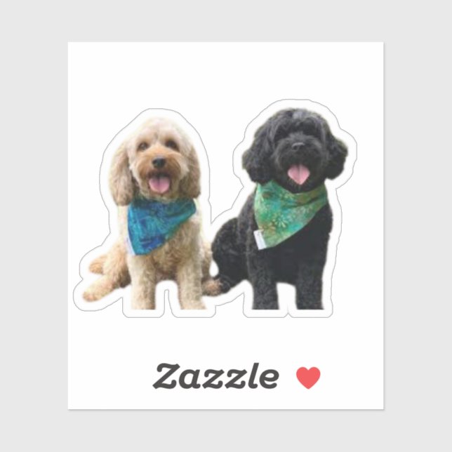 Cavapoo Cavoodle Cockerpoo Puppy Designer dog (Sheet)
