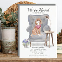 Cavapoo Dog | Moving Announcement