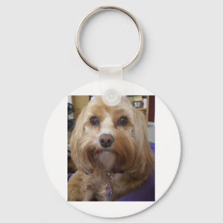 Cavapoo or Cavadoodle products Key Ring