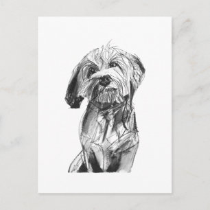 Cavapoo Postcard – Charcoal Dog Illustration
