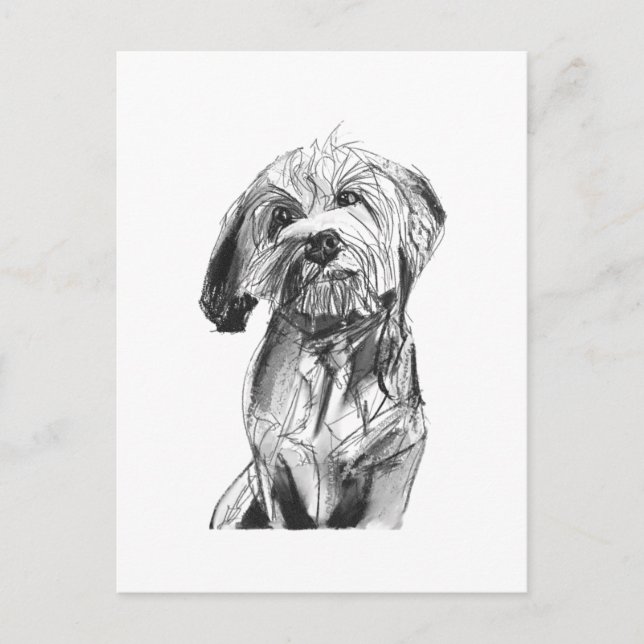 Cavapoo Postcard – Charcoal Dog Illustration (Front)