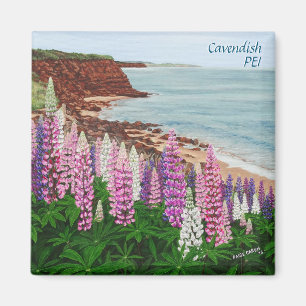 Cavendish Cliffs and Spring Lupins Square Magnet