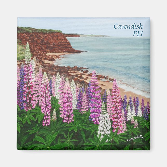 Cavendish Cliffs and Spring Lupins Square Magnet (Front)