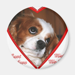 Cavi Love Magnet