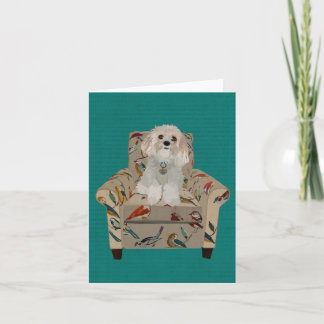 CAVIPOODLE Notecard