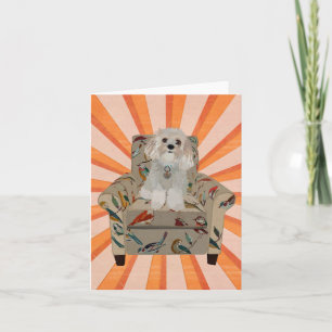 CAVIPOODLE STRIPES Notecard