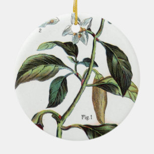cayenne pepper Flower Ceramic Tree Decoration