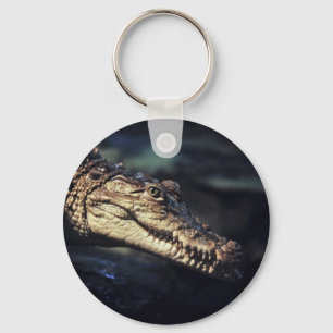 cayman crocodile photo key ring