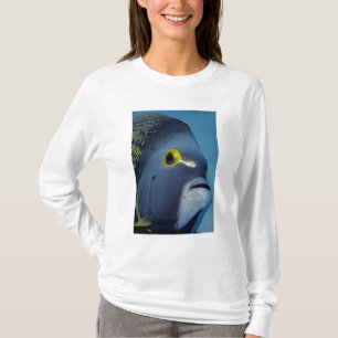 Cayman Islands, French Angelfish Pomacanthus T-Shirt