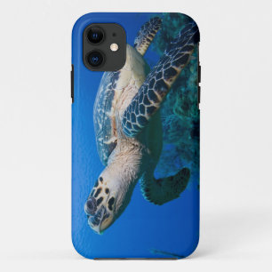 Cayman Islands, Little Cayman Island, Underwater 2 Case-Mate iPhone Case