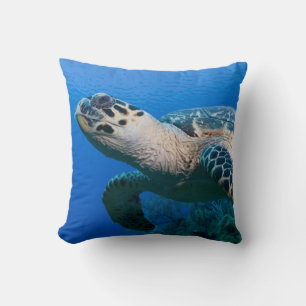 Cayman Islands, Little Cayman Island, Underwater 2 Cushion