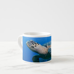 Cayman Islands, Little Cayman Island, Underwater 2 Espresso Cup