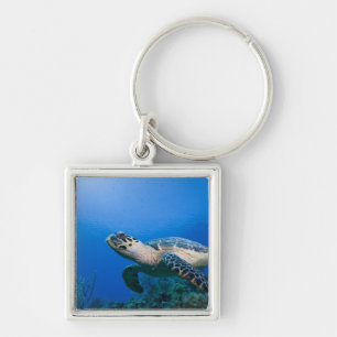 Cayman Islands, Little Cayman Island, Underwater 2 Key Ring